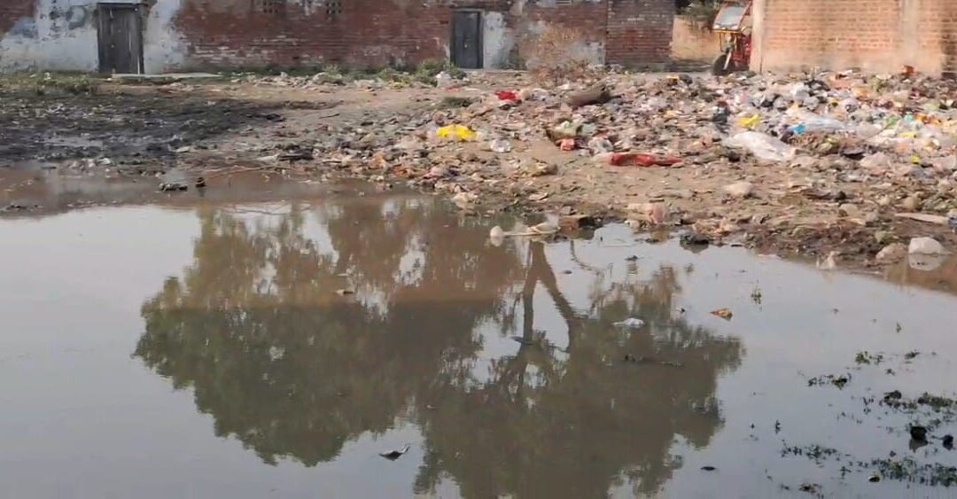 गंदगी के वीच गुजर रही शुगर मिल कालोनी वासियों की जिंदगी,